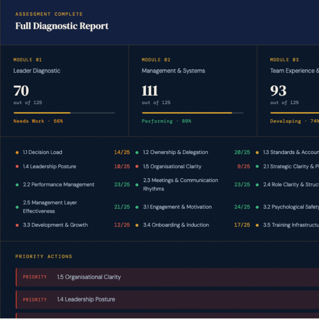 Leadership diagnostic preview